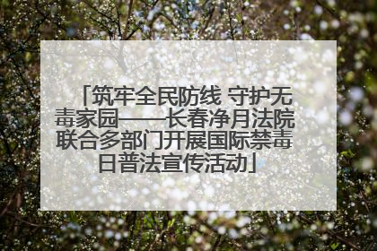筑牢全民防线 守护无毒家园——长春净月法院联合多部门开展国际禁毒日普法宣传活动