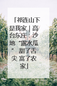 祁连山下是我家｜高台东庄：沙地“露水瓜” 甜了舌尖 富了农家