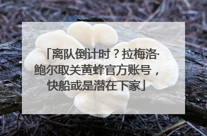 离队倒计时？拉梅洛·鲍尔取关黄蜂官方账号，快船或是潜在下家