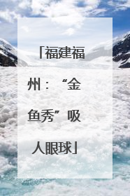 福建福州：“金鱼秀”吸人眼球