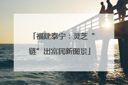 福建泰宁：灵芝“链”出富民新图景