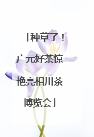 种草了！广元好茶惊艳亮相川茶博览会