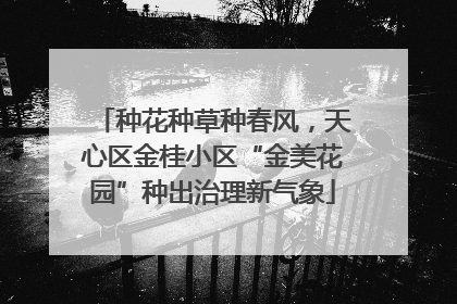 种花种草种春风，天心区金桂小区“金美花园”种出治理新气象