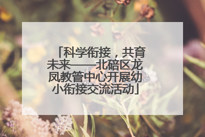 科学衔接，共育未来——北碚区龙凤教管中心开展幼小衔接交流活动