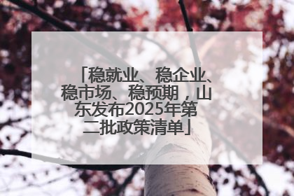 稳就业、稳企业、稳市场、稳预期，山东发布2025年第二批政策清单
