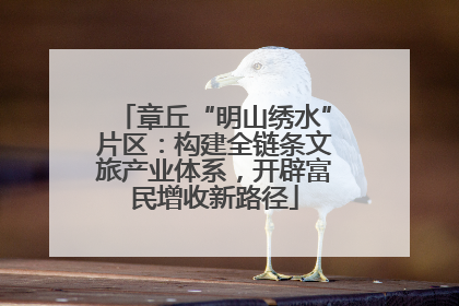 章丘“明山绣水”片区：构建全链条文旅产业体系，开辟富民增收新路径