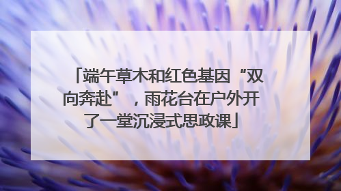 端午草木和红色基因“双向奔赴”，雨花台在户外开了一堂沉浸式思政课