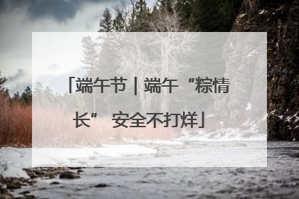 端午节｜端午“粽情长” 安全不打烊
