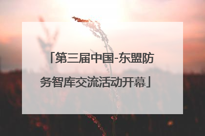 第三届中国-东盟防务智库交流活动开幕