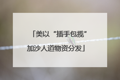 美以“插手包揽”加沙人道物资分发