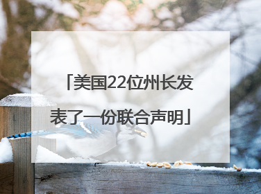 美国22位州长发表了一份联合声明