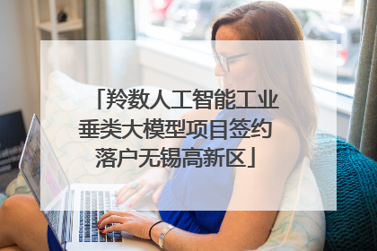 羚数人工智能工业垂类大模型项目签约落户无锡高新区