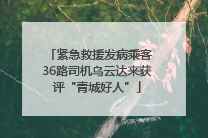 紧急救援发病乘客 36路司机乌云达来获评“青城好人”