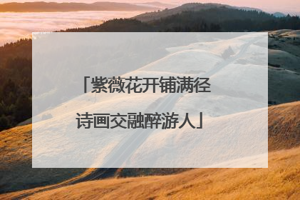 紫薇花开铺满径 诗画交融醉游人