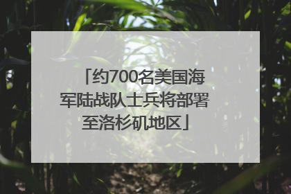约700名美国海军陆战队士兵将部署至洛杉矶地区