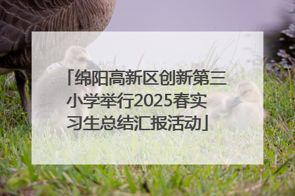 绵阳高新区创新第三小学举行2025春实习生总结汇报活动