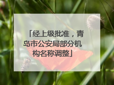 经上级批准，青岛市公安局部分机构名称调整