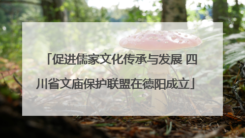 促进儒家文化传承与发展 四川省文庙保护联盟在德阳成立