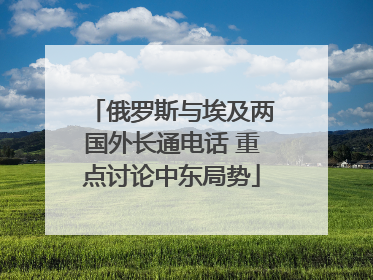 俄罗斯与埃及两国外长通电话 重点讨论中东局势