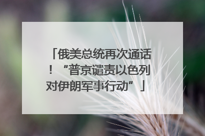 俄美总统再次通话！“普京谴责以色列对伊朗军事行动”