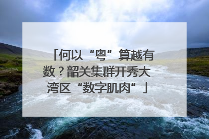 何以“粤”算越有数？韶关集群开秀大湾区“数字肌肉”