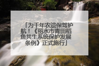 为千年农遗保驾护航！《丽水市青田稻鱼共生系统保护发展条例》正式施行