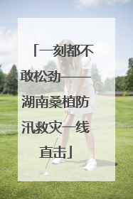 一刻都不敢松劲——湖南桑植防汛救灾一线直击