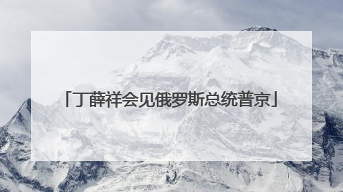丁薛祥会见俄罗斯总统普京
