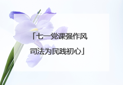 七一党课强作风 司法为民践初心