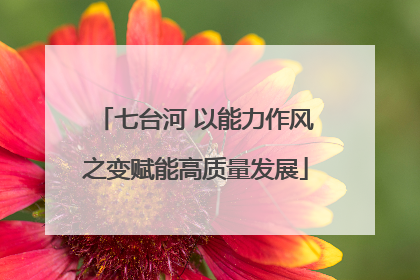 七台河 以能力作风之变赋能高质量发展