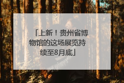 上新！贵州省博物馆的这场展览持续至8月底