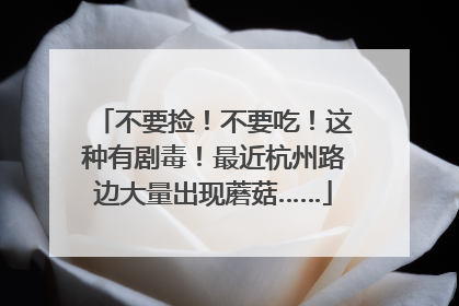不要捡！不要吃！这种有剧毒！最近杭州路边大量出现蘑菇……