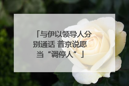 与伊以领导人分别通话 普京说愿当“调停人”