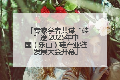 专家学者共谋“硅”途 2025年中国（乐山）硅产业链发展大会开幕