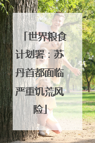 世界粮食计划署：苏丹首都面临严重饥荒风险