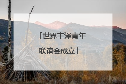 世界丰泽青年联谊会成立