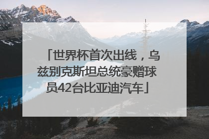世界杯首次出线，乌兹别克斯坦总统豪赠球员42台比亚迪汽车