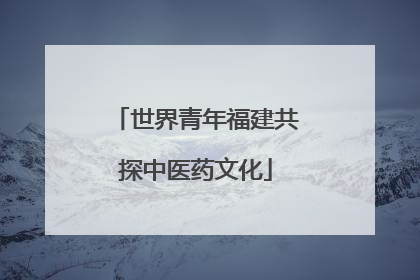 世界青年福建共探中医药文化