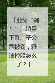 业绩“刹车”、销量下降、子公司被罚，雅迪控股怎么了？