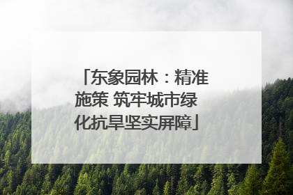 东象园林：精准施策 筑牢城市绿化抗旱坚实屏障