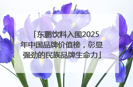 东鹏饮料入围2025年中国品牌价值榜，彰显强劲的民族品牌生命力