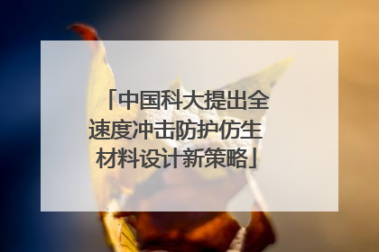 中国科大提出全速度冲击防护仿生材料设计新策略