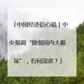 中国经济信心说丨中央强调“做强国内大循环”，有何深意？