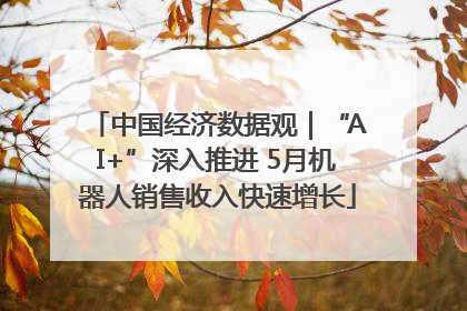 中国经济数据观｜“AI+”深入推进 5月机器人销售收入快速增长