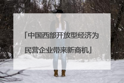 中国西部开放型经济为民营企业带来新商机