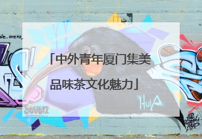中外青年厦门集美品味茶文化魅力