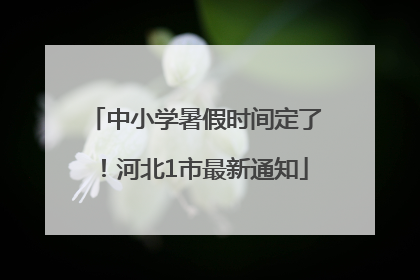 中小学暑假时间定了！河北1市最新通知