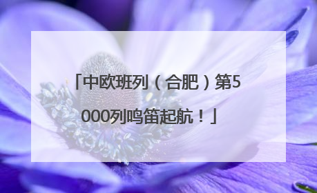 中欧班列（合肥）第5000列鸣笛起航！