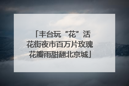 丰台玩“花”活 花街夜市百万片玫瑰花瓣雨甜翻北京城