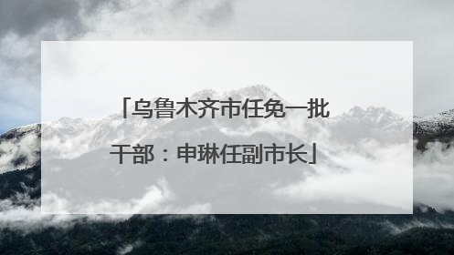 乌鲁木齐市任免一批干部：申琳任副市长